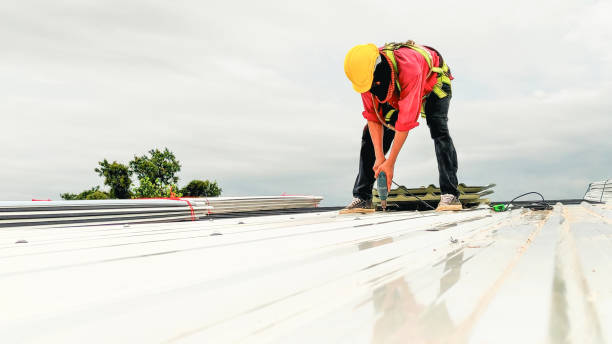 Best Roof Coating and Sealing  in Struthers, OH